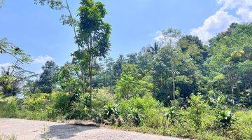 Gambar 4 Tanah View Hamparan Kebun Teh 300 Juta Kawasan Kemuning 