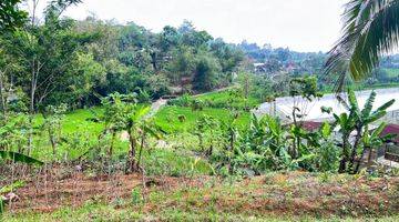 Gambar 3 Tanah View Hamparan Sawah 800 Juta Karangpandan 