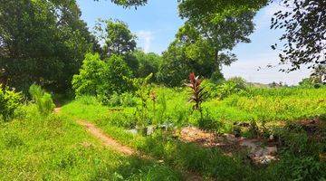 Gambar 4 Tanah Luas di Rawakalong dekat perum Botanical Valley, Gunung Sindur Bogor