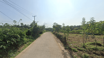 Gambar 3 Tanah pinggir Jl Parung panjang ke Podomoro Tenjo Luas 1007m2