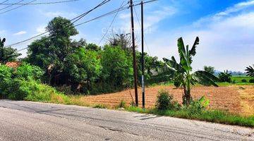 Gambar 3 Tanah Luas Pinggir Jalan Dekat Pasar Di Babelan S8296