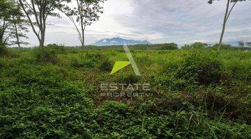 Gambar 2 Kavling Exclusive View Panjang Lapangan Golf Dan Pegunungan