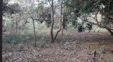 Gambar 4 Dijual Bu Cepat Tanah Kebun Pekarangan di Cibening, Purwakarta.