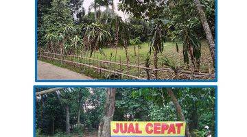 Gambar 1 Jual Bu Cepat Tanah Datar Siap Bangun di Gg Lumong, Curug, Bogor..