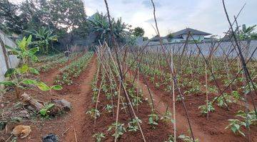 Gambar 1 Tanah Kavling Ngantong Dalam Cluster di Vila Dago Pamulang