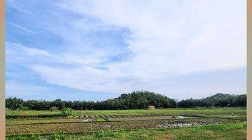 Gambar 2 Tanah View Sawah Siap AJB 7 Menit Bandara YIA Jogja