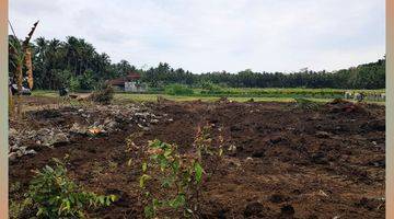 Gambar 3 Tanah View Sawah Siap AJB 7 Menit Bandara YIA Jogja