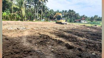 Gambar 4 Tanah View Sawah Siap AJB 7 Menit Bandara YIA Jogja