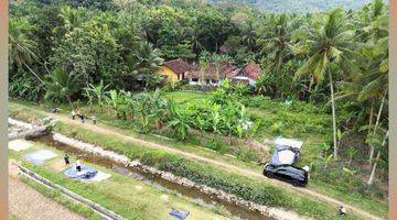 Gambar 5 Tanah View Sawah Siap AJB 7 Menit Bandara YIA Jogja