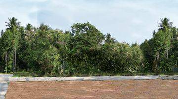 Gambar 5 Tanah Siap Ajb 20 Menit Bandara Yia Jogja, View Sawah SHM