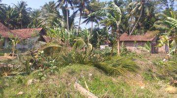 Gambar 3 Tanah 100 Jtan View Sawah Dekat Bandara Yia Jogja, Siap Ajb