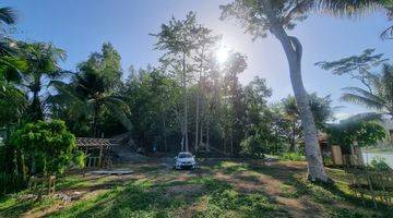 Gambar 2 Tanah Pekarangan Tepi Aspal View Waduk Sermo Jogja