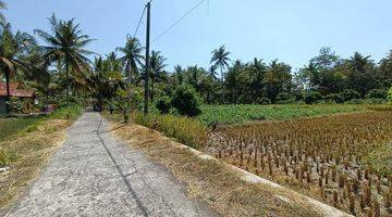 Gambar 2 3 Menit Kampus Uad Wates, Tanah Tawangsari Akses Lebar