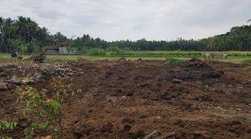 Gambar 1 Tanah 100 Jtan View Sawah Dekat Bandara Yia Jogja, Siap Ajb