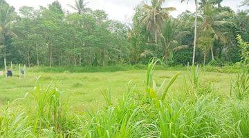 Gambar 4 Dijual Tanah Area Ubud Cocok Buat Villa Investasi