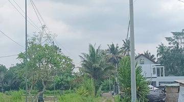 Gambar 3 Dijual Tanah Area Ubud Cocok Buat Villa Investasi