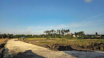 Gambar 1 Tanah Kavling Ekonomis ,senapahan ,kediri.tabanan Jalan Utama