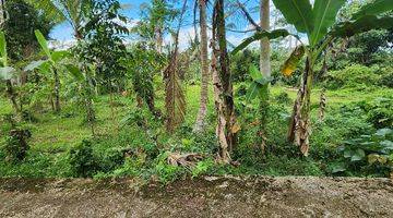 Gambar 4 Tanah View Sungai Lembah,lokasi di Payangan,marga,tabanan.