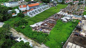 Gambar 5 Huge Land For Long Lease In Pererenan Canggu Pu 0242