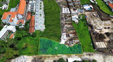 Gambar 3 Huge Land For Long Lease In Pererenan Canggu Pu 0242