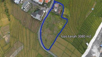 Gambar 2 Dijual Tanah Luas Ocean View Dekat Pantai Cemangi Kc 0223