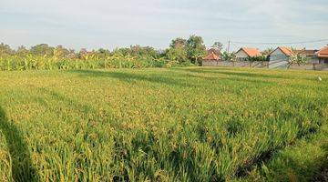 Gambar 4 Tanah View Sawah Sungai Tegenungan Sukawati Ubud