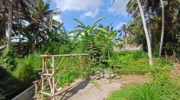 Gambar 5 Tanah View Sungai Sawah Singakerta Ubud