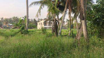 Gambar 2 Tanah View Sawah Pejeng Ubud