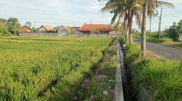 Gambar 5 Tanah View Sawah Sungai Tegenungan Sukawati Ubud