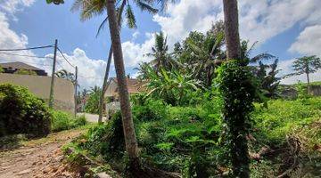 Gambar 3 Tanah View Sungai Sawah Singakerta Ubud