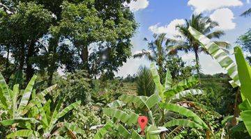 Gambar 3 Tanah View Sawah Penebel Tabanan