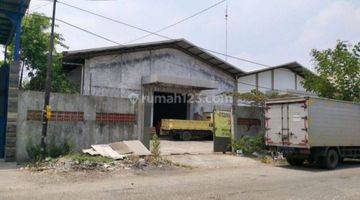 Gambar 3 Disewakan Gudang Sunter, Container "40" Feet  Bisa Masuk