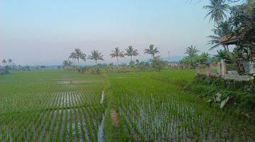 Gambar 4 Tanah Sawah Pinggir Jalan Raya Cibeber Masih Nego SHM Daerah Ramai