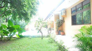 Gambar 3 For Rent Rumah Luas Dan Nyaman (spacious Garden And Parking, 2 Gate) Area Patra Kuningan Jaksel