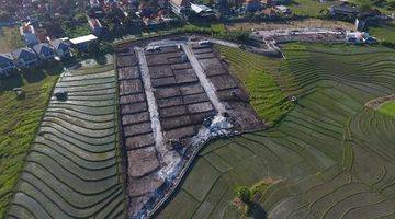 Gambar 5 Kavling Siap Bangun Kayu Tulang Canggu Bali