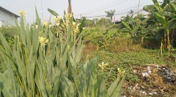 Gambar 1 Lahan Kosong Bersetifikat Hak Milik di Teluk Naga, Tangerang