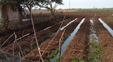 Gambar 3 Lahan Kosong Cocok Untuk Bangun Perumahan Maupun Usaha di Ranca Bago, Rajeg, Tangerang