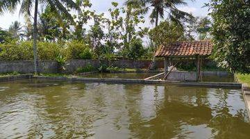 Gambar 1 Lahan Rumah Ada Tambak Daerah Baros, Serang, Banten