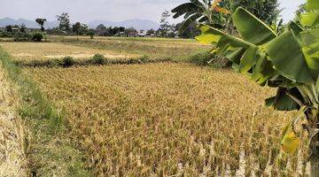 Gambar 3 Tanah 1.088 m² Cocok Untuk Gudang di Sleman Yogyakarta