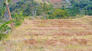 Gambar 3 Kavling view kota bandung dan kebun sayur di Punclut 