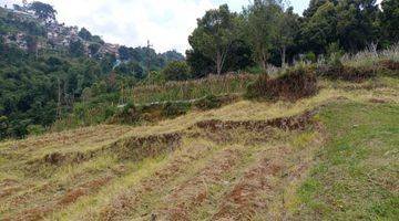 Gambar 4 Kavling view kota bandung dan kebun sayur di Punclut 