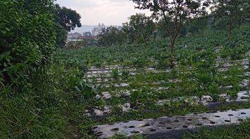 Gambar 3 Tanah kavling kotak datar view di Lembang asri Bandung Barat