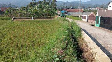 Gambar 4 Dijual murah tanah kavling di Pasirjambu Ciwidey 1200mdpl