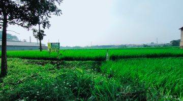 Gambar 1 Tanah Sawah Di Batujajar Cocok Untuk Pabrik Gudang Dan Perumahan