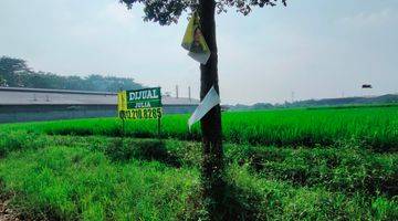 Gambar 3 Tanah Sawah Di Batujajar Cocok Untuk Pabrik Gudang Dan Perumahan