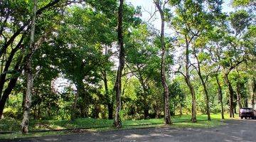 Gambar 5 Kavling Sentul City Menghadap Green Area Dekat Lapangan Golf Highlands