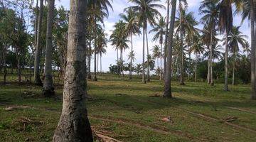 Gambar 1 Great 96.12 Are Freehold Land Closed To Lombok Beach