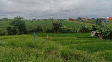 Gambar 5 Free hold land in between berawe and batu bolong  , close to the beach