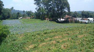 Gambar 1 Tanah Cocok Untuk Kebun Villa Di Pacet Ciherang Cianjur