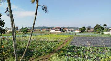 Gambar 1 Tanah Bentuk Kotak Rata di Parongpong Cihanjuang Rahayu Bandung